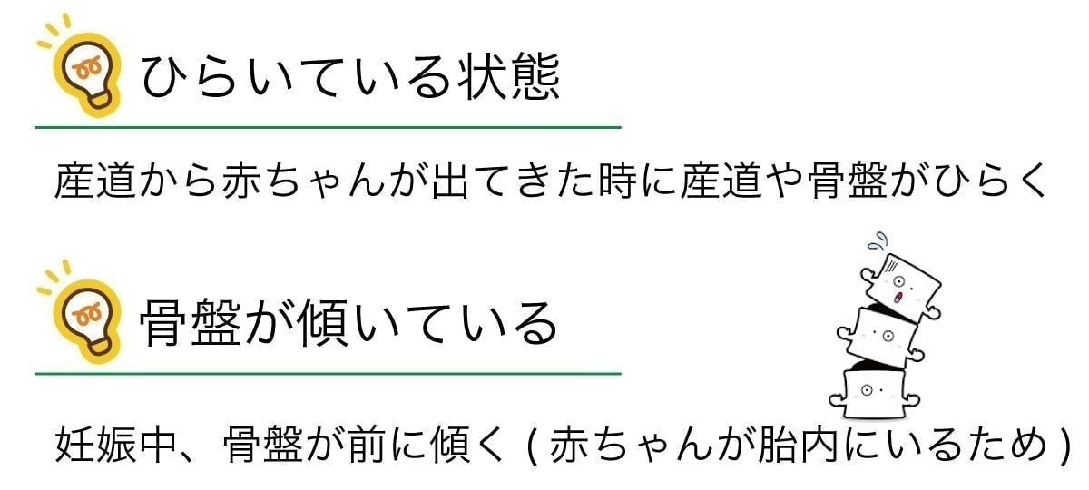 産後の骨盤の状態